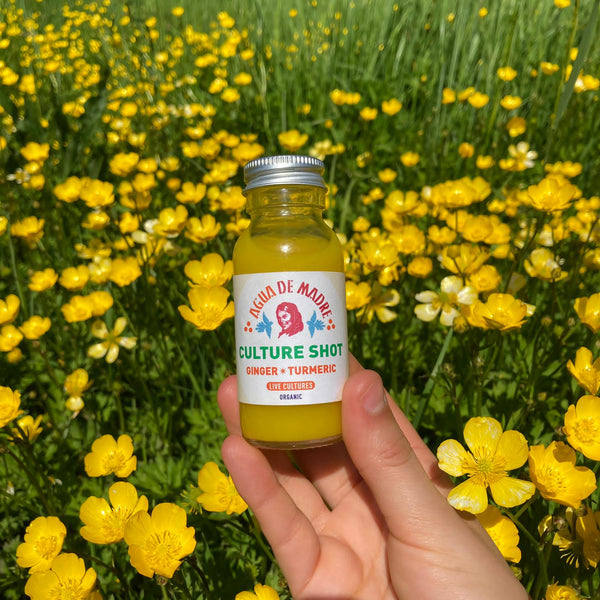 Introducing: Culture Shot