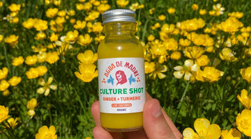 Introducing: Culture Shot