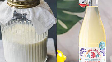 Same Same but Different: Water Kefir v. Dairy Kefir