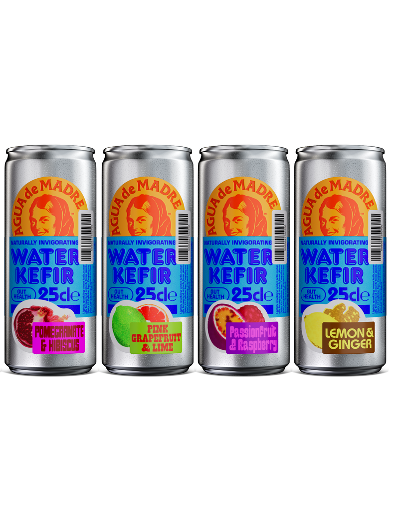 Starter Pack Mixed Case x 4 Cans