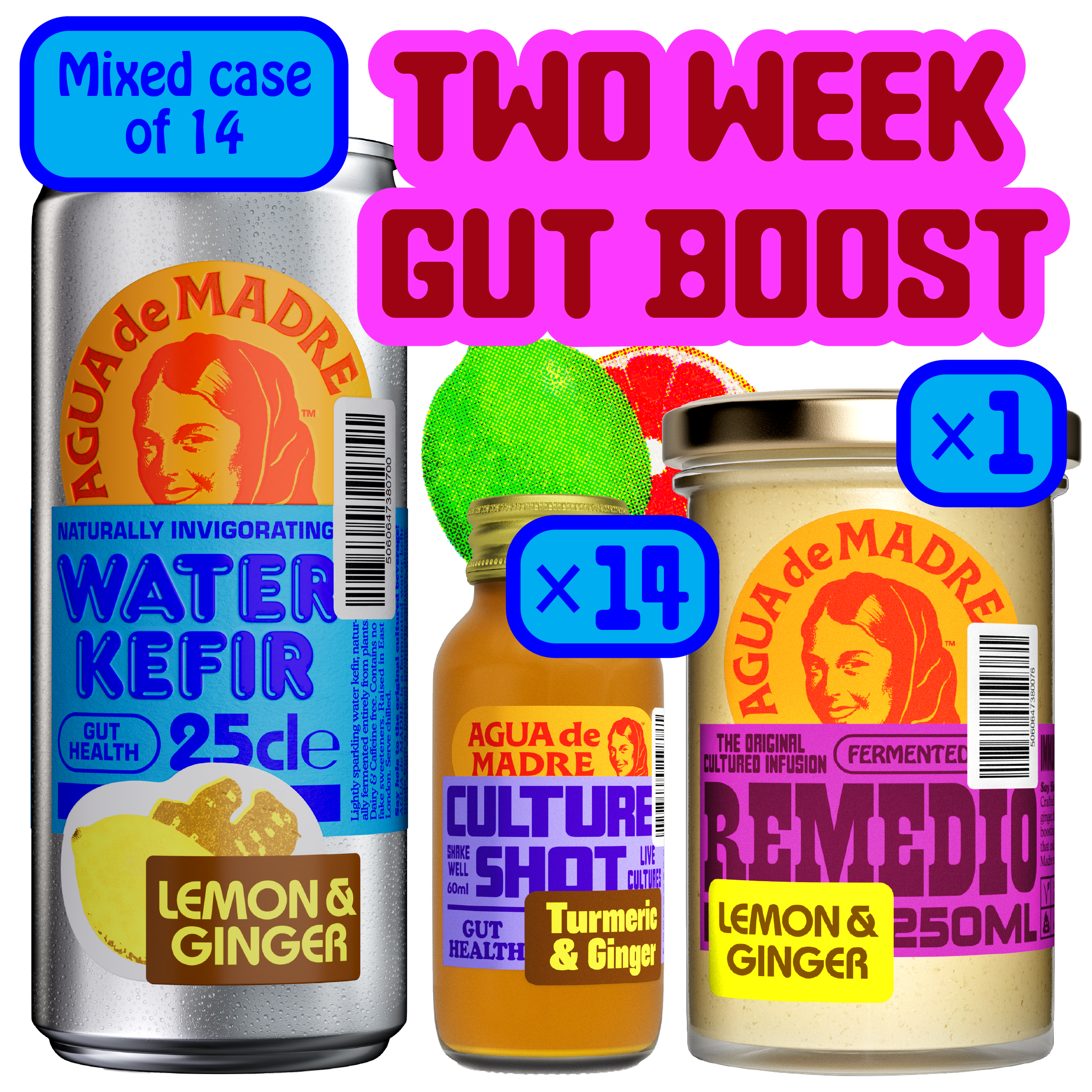 Two Week Gut Boost