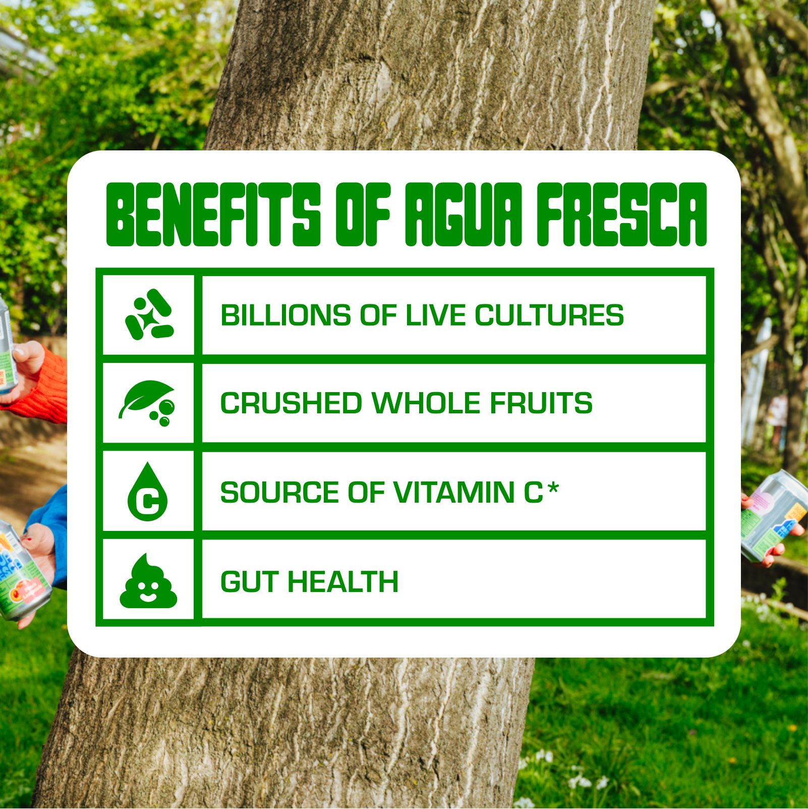 Limited Edition : Agua Fresca x Agua de Madre
