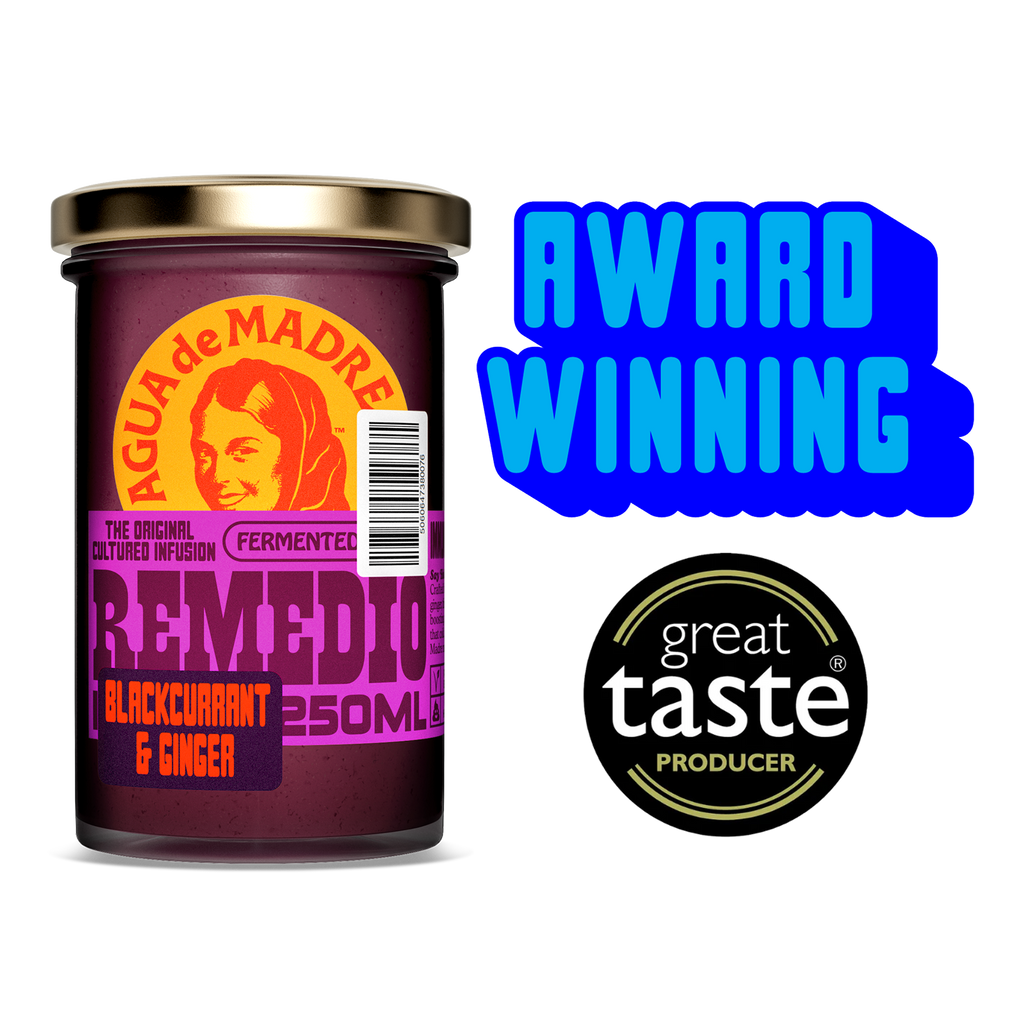 Blackcurrant & Ginger Remedio Infusion Single Jar
