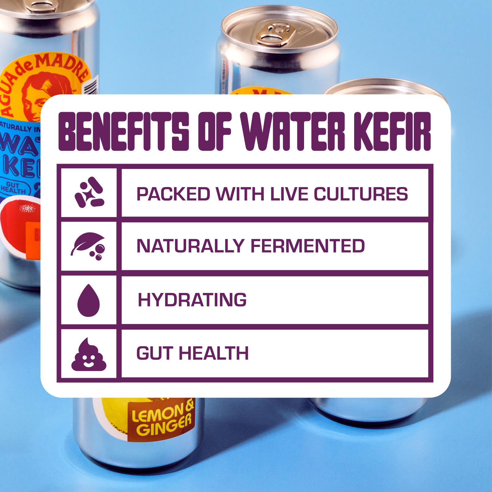 Mixed Case Water Kefir 4 Pack