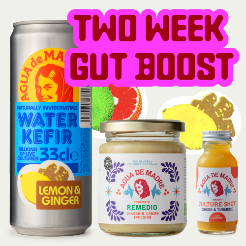 Two Week Gut Boost